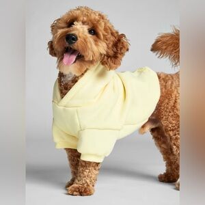 Comfrt Minimalist Paw Hoodie In Buttercream